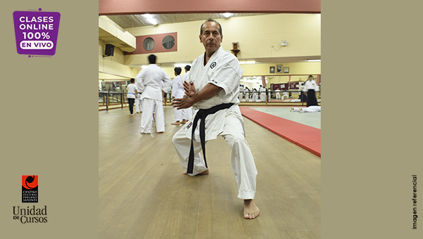 Karate Shorin Ryu - 18 Años A Más) - Todos Los Grados (Online)