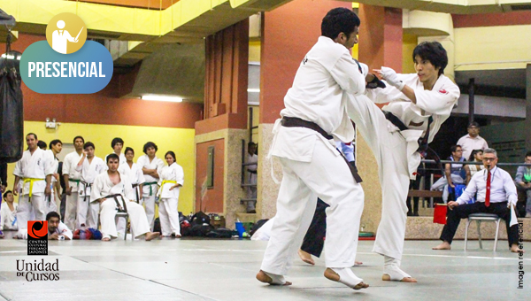 Enshin Karate (6 Años En Adelante - Mar Y Jue) (Presencial)